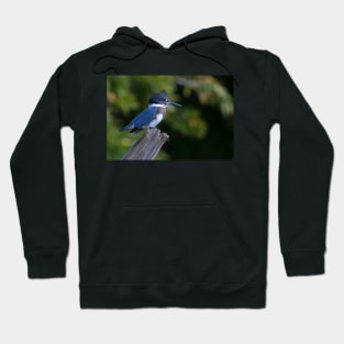 Belted Kingfisher - female (Ceryle alcyon) Hoodie